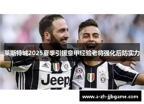 莱斯特城2025夏季引援意甲经验老将强化后防实力 莱斯特城2025夏季引援意甲经验老将强化后防实力